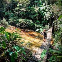 Adventure &amp; History at Tijuca Forest (small group or private)