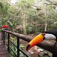 Amazons for the world to see