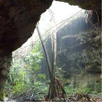 Amazon Rainforest Tour, Trails, Jungle, Caves and Waterfalls