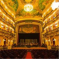 Half Day City Tour in Manaus with lunch