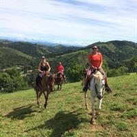 Exclusive Horse Experience with Pic-nic at Belvedere