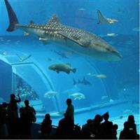 Aquario Tour - Rio de Janeiro