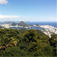 Alternative Viewpoints 4 Hours Private Tour