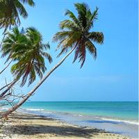 North Beach Praia do Forte and Guarajuba Tour