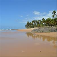 Full-Day Beach Hopping Tour from Salvador to Praia do Forte