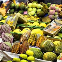 Private 4 hour Gastronomy Tour of Sao Paulo with Market Visit