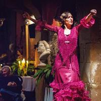 /images/asst/966/barcelona_-_flamenco_show_-778573-500.jpg