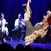 /images/asst/966/spain_-_flamenco_-682499-500.jpg