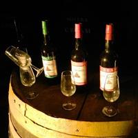 /images/asst/966/spain_-_wine_bottles_-660399-500.jpg