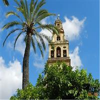 Exclusive visit to the Mosque with official guide. Small groups