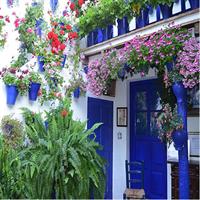 3-Hour Private Tour of Cordoba Weekends Tickets included