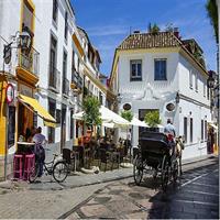 Cordoba Private Walking Tour with a Professional Guide