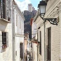 Alhambra and Albaycin Private Tour