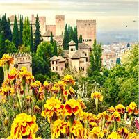 Alhambra Private Tour with Nasrid Palaces tickets