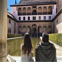 Alhambra &amp;Charles Palace Guided Tour with Optional Nasrid Palaces