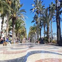 Alicante food and wine experience with sommelier