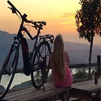 Andalucia by Sunset - half day tour including dinner and Ronda pickup