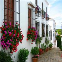 Bike City Tour Marbella