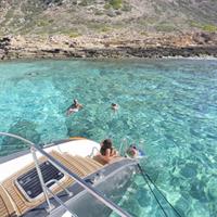 Afternoon Snorkel &amp; Paddle Surf Experience in a Secret Spot