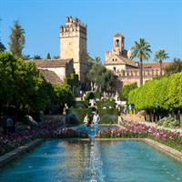 Alcazar, Cathedral, Walk By The River And Triana Private Tour