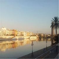 Alcazar, Cathedral And Walk By The River Private Tour