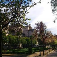 2h30 Private Walking Tour of Seville with Local Guide