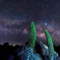 Teide National Park Sunset &amp; Stargazing with Dinner (Star Safari)
