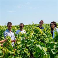 From Reims: Champagne Small-Group tour with tastings &amp; Lunch