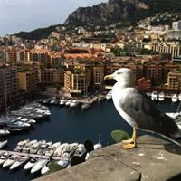 Private Tour Monaco, Monte Carlo &amp; Eze (from Cannes)