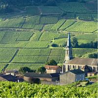 BURGUNDY : Unique Wine Tour from PARIS (Day-trip by TGV - High-speed train)