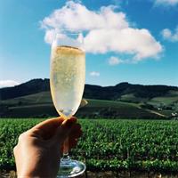 Exclusive Champagne Tour ( All included ): 2 Famous houses &amp; restaurant