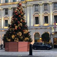 A Fairytale Christmas Day with Food and Christmas Concert