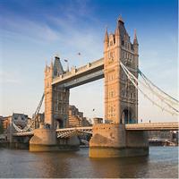 4-hour Private Tour of London