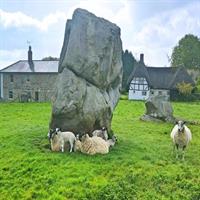 Avebury, Lacock and Ancient England from Bath for 2-8 curious adventurers