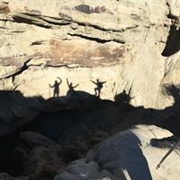 Discover La Leona Petrified Forest: Guided Hiking Tour