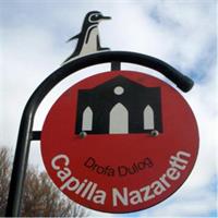 City Tour and Sea Lions at Punta Loma from Puerto Madryn