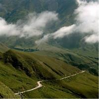 Full-day Cachi and Los Cardones National Park from Salta