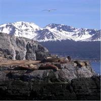 Beagle Channel Yacht Sailing Tour from Ushuaia
