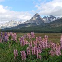 4WD Off-Road Lakes Adventure in Tierra del Fuego