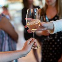 BA: Small group Argentinian Wines and Malbec Tasting in Palermo