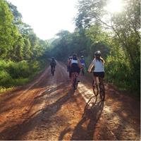 Jungle Wildlife Bike Tour to Iguazu National Park &amp; Jaguar Road