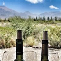 All Day, Small Group, Luxury Wine Tour with Gourmet Lunch