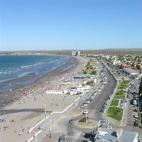 City Tour and Sea Lions at Punta Loma from Puerto Madryn