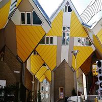 Architecture Walk Rotterdam Private Group Tour