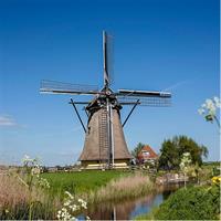 Kinderdijk Bike Tour
