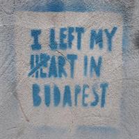 Alternative Street Art Free Walking Tour of Budapest