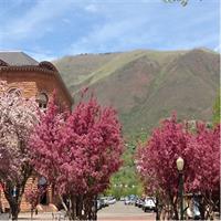 Highlights of Aspen Tour