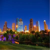 Houston City Tour 2.5-hour Van Tour