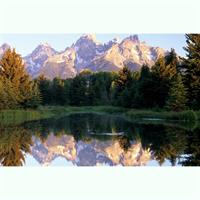 Grand Teton National Park Tour from Jackson Hole