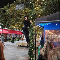 Athens Murder, Mystery, &amp; Dawg Gone Ghosts Tour